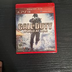 Call Of Duty World  At War