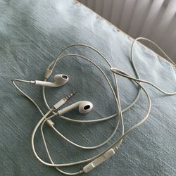 iPhone Earbuds 