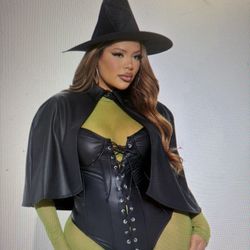 Wicked Witch From The Wizard Of oz Plus Size Costume 