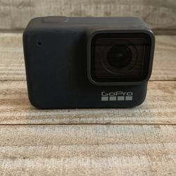 GoPro Hero Silver 7 w/Case And Arm