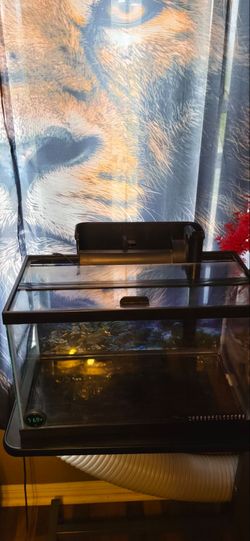 10 Gallon Fish tank,Deco, HOB filter