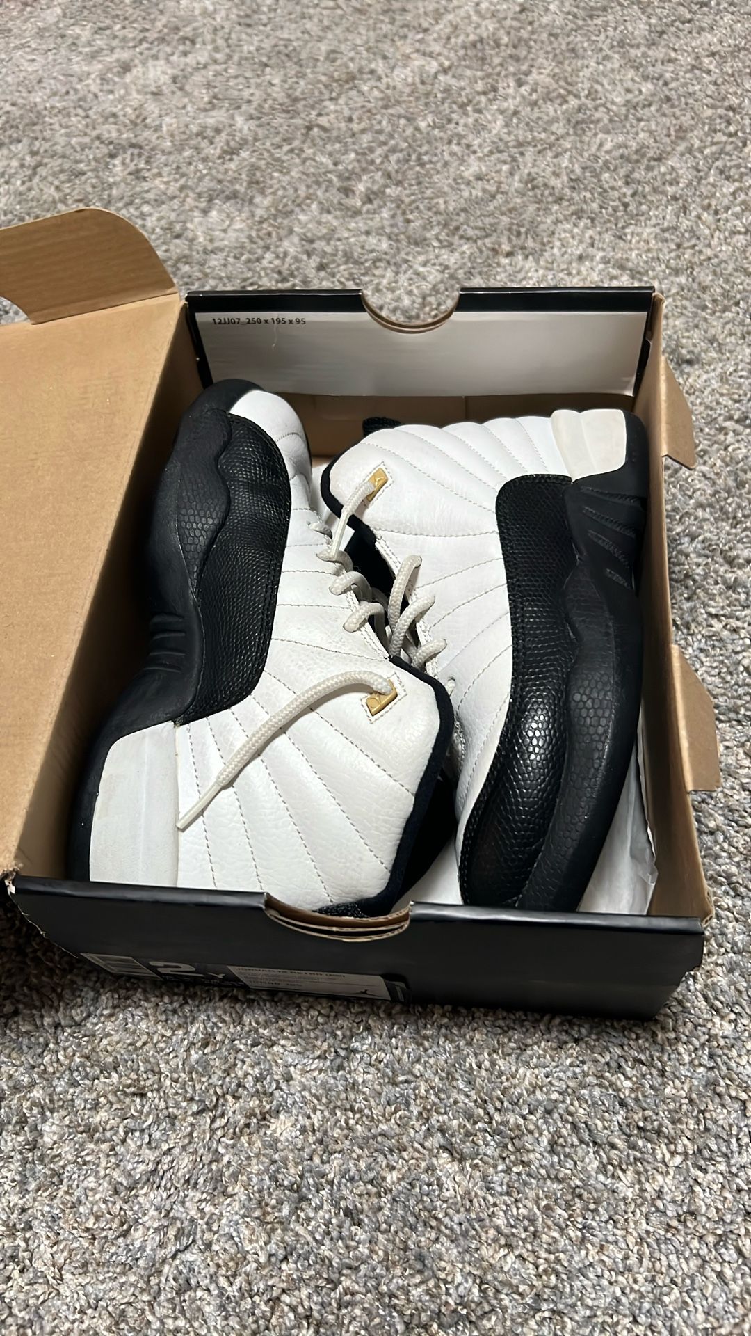 Jordan 12 Taxi Size 2y