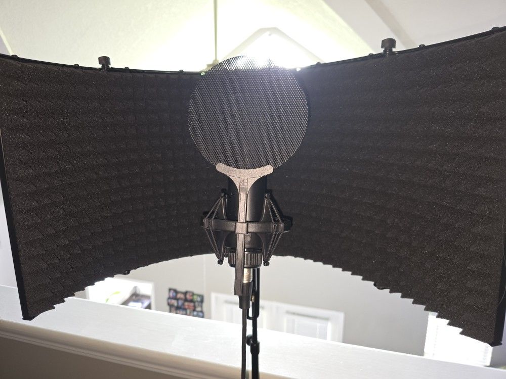SE2300 Multi Pattern Lrg Dia Cond Mic / mount