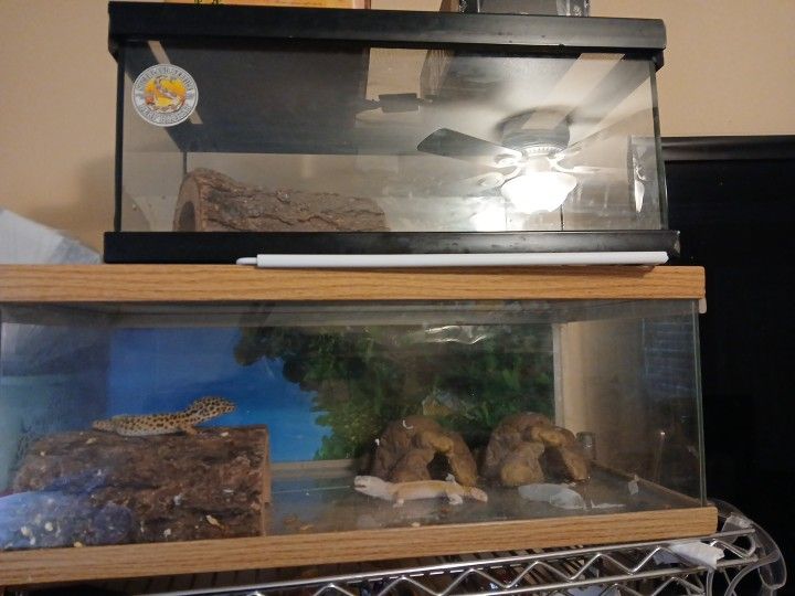 2 Tank Include Everything You See In The Pictures