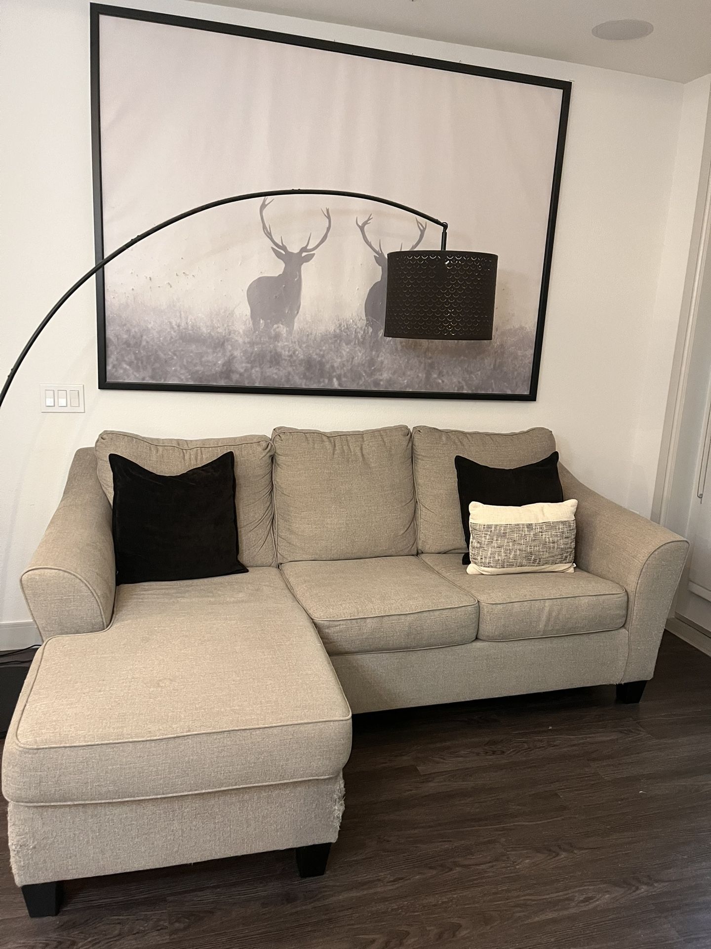 Queen Sofa Chaise Sleeper