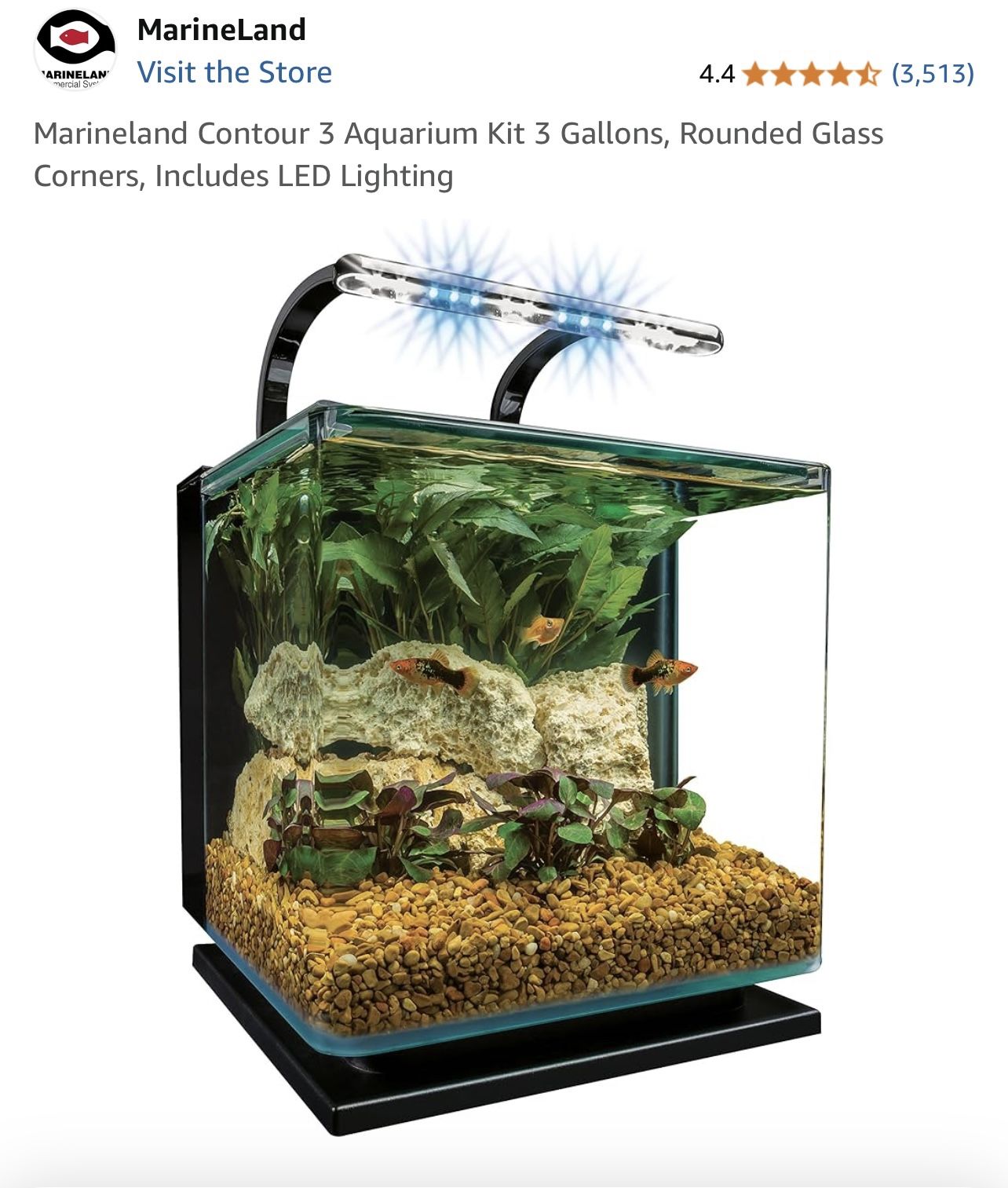 Fish Tank