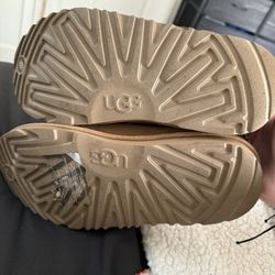 Ugg Tazman
