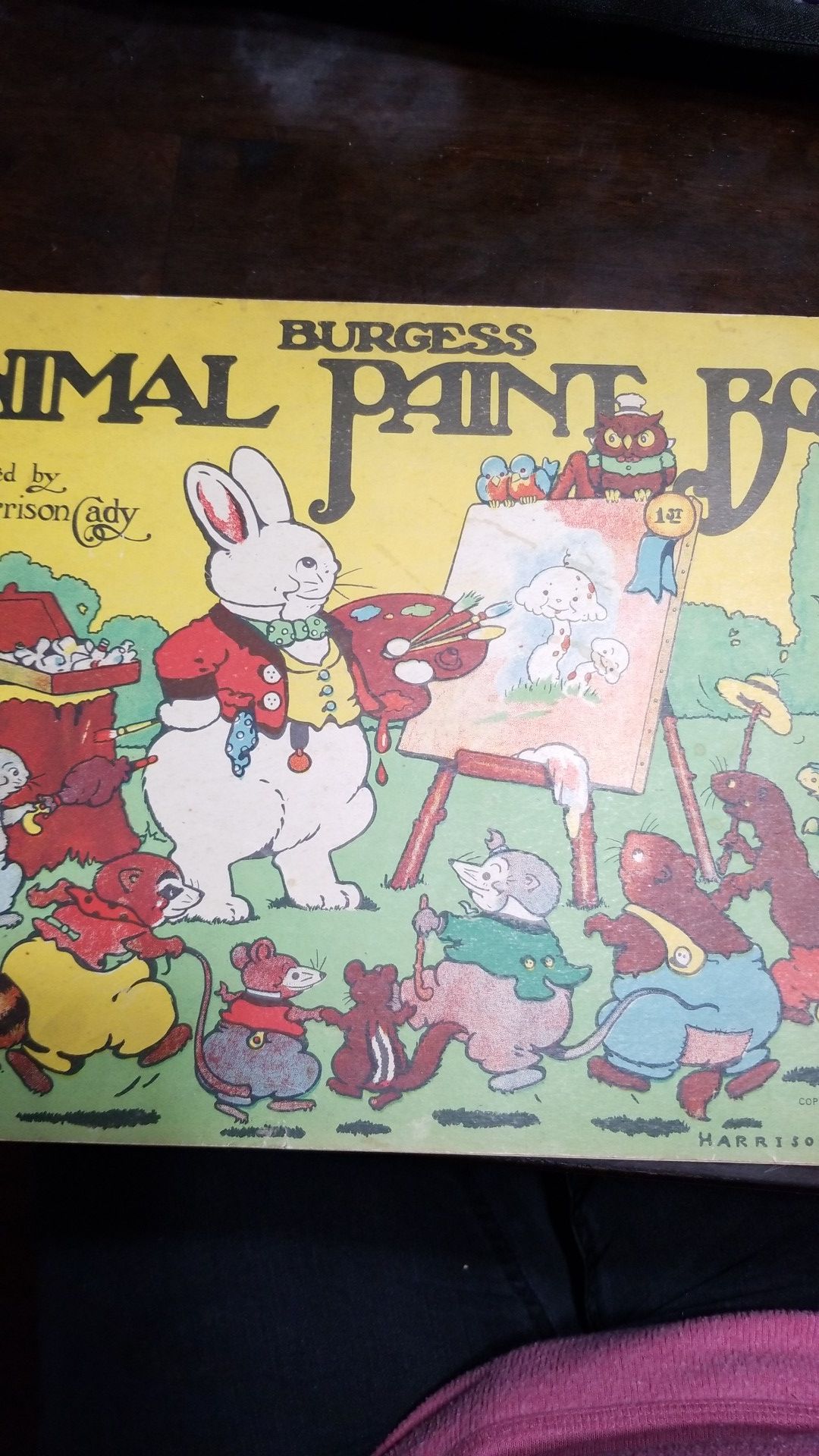 1925 Animal Paint Book