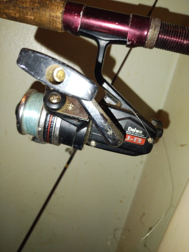Darwin Reel And Pole