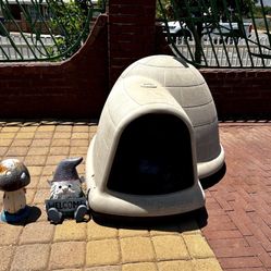 Dog House 