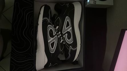 CD DIOR B30s