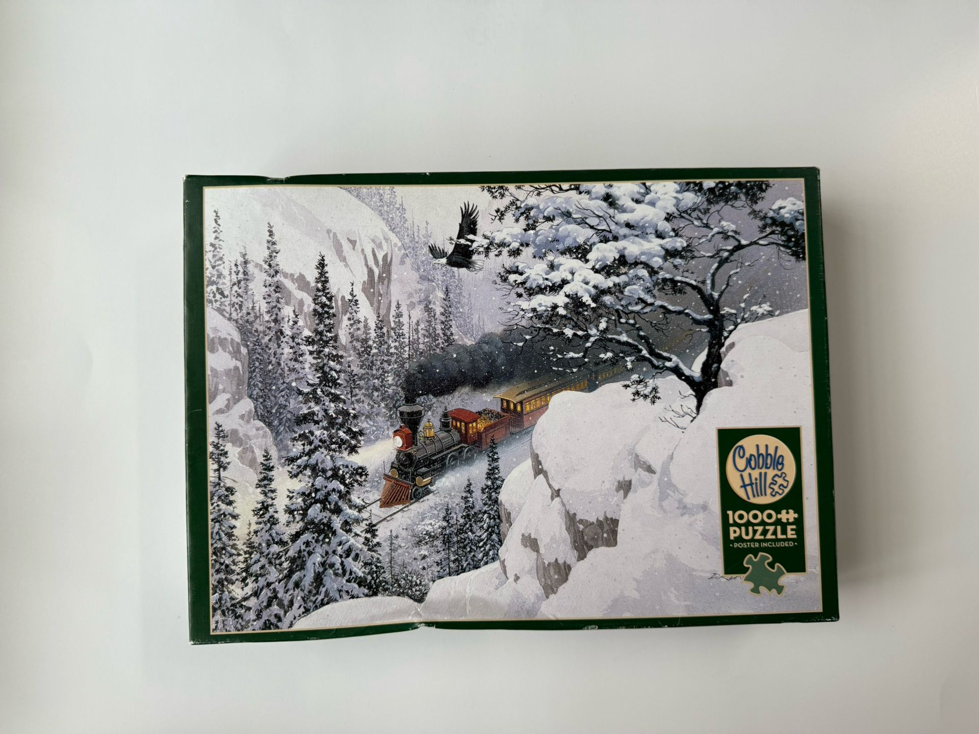 Cobble Hill 1000 Piece Puzzle The Passage Train Snow Eagle Douglas Laird 26 x 19