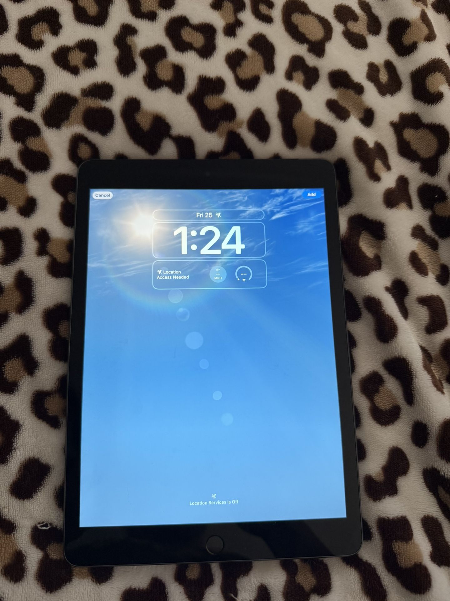 iPad