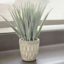 Artificial Plant