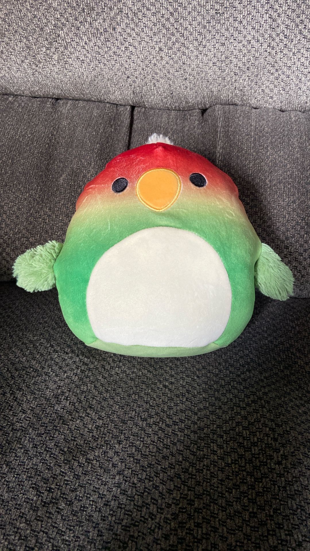 Elliene The Parrot Squishmallow 7.5”