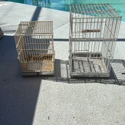 Bird Cages