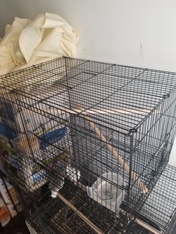 Used bird cage