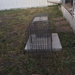 Animal Trap