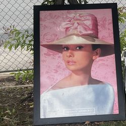 Audrey Hepburn Frame 