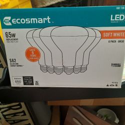 Ecosmart LED Bulbs