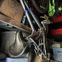 Schwinn Bike In Working Condition Seats New Just Dirty 