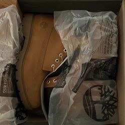 Mens Timberland 6in Wheat Boots (Brand New )Size 11.5 