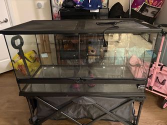 40gallon reptile tank