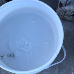 Botes De Base Coat $60