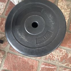 25lb Weights