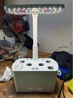 Germination system