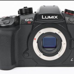 Panasonic GH5s - Video Beast