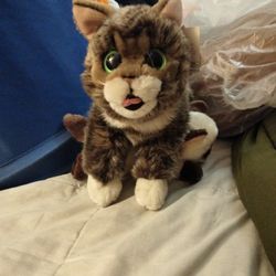Stuff Animal "Cat"