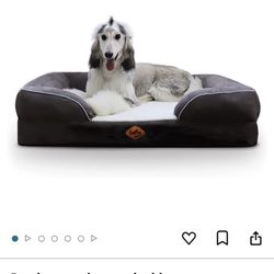 Large Memory Foam Dog Bed