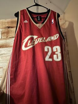 Lebron James Jersey