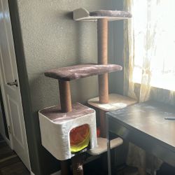 Cat House 