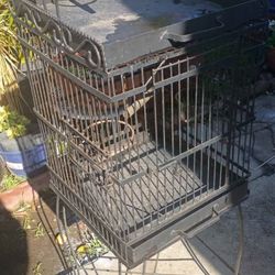 Bird Cage