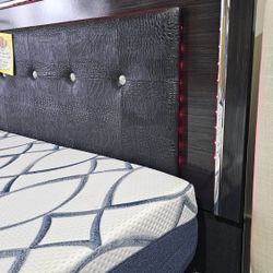 New Black Gator LED KAYDELL Bed 