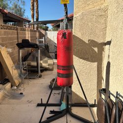 Everlast Punching Bag