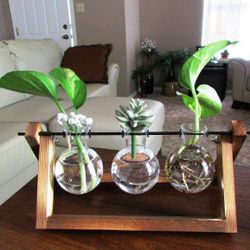 Round Glass Flower Vase Table Top Glass Planter I#1489