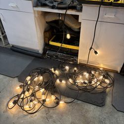 2- LED Light String-New Bulbs 