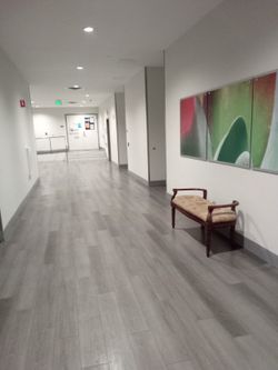 Window Bench Or Bed Seat 