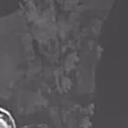 Beautiful Flowers And Detailed Vase