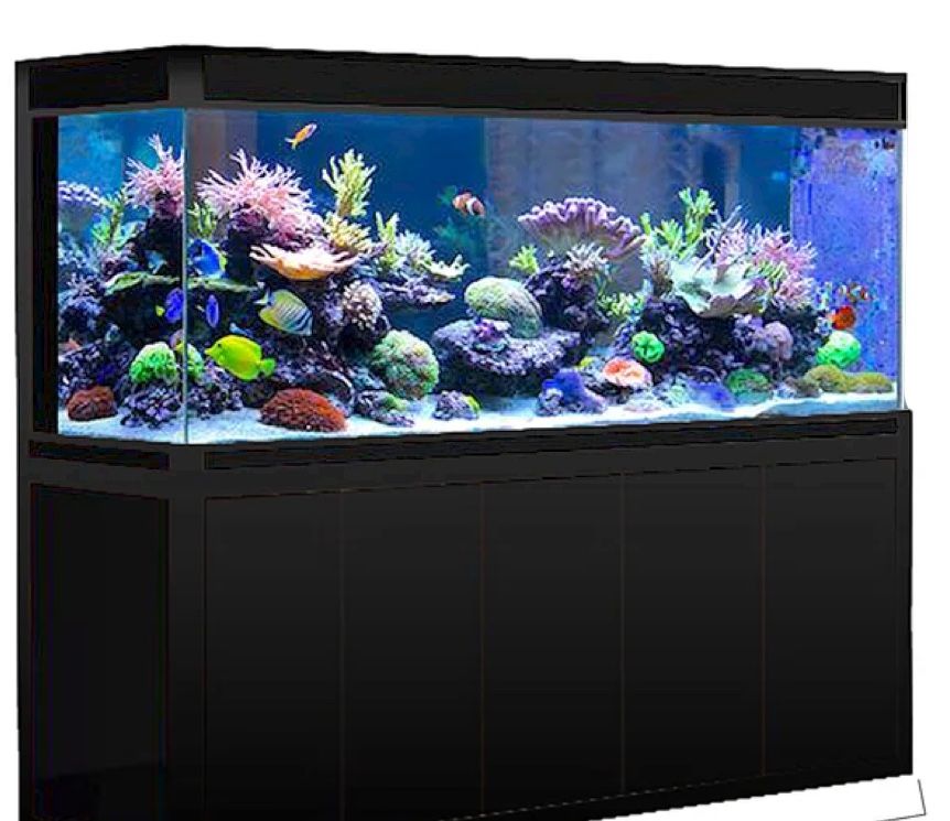 300 Gallon Fish Tank W/ Equipment