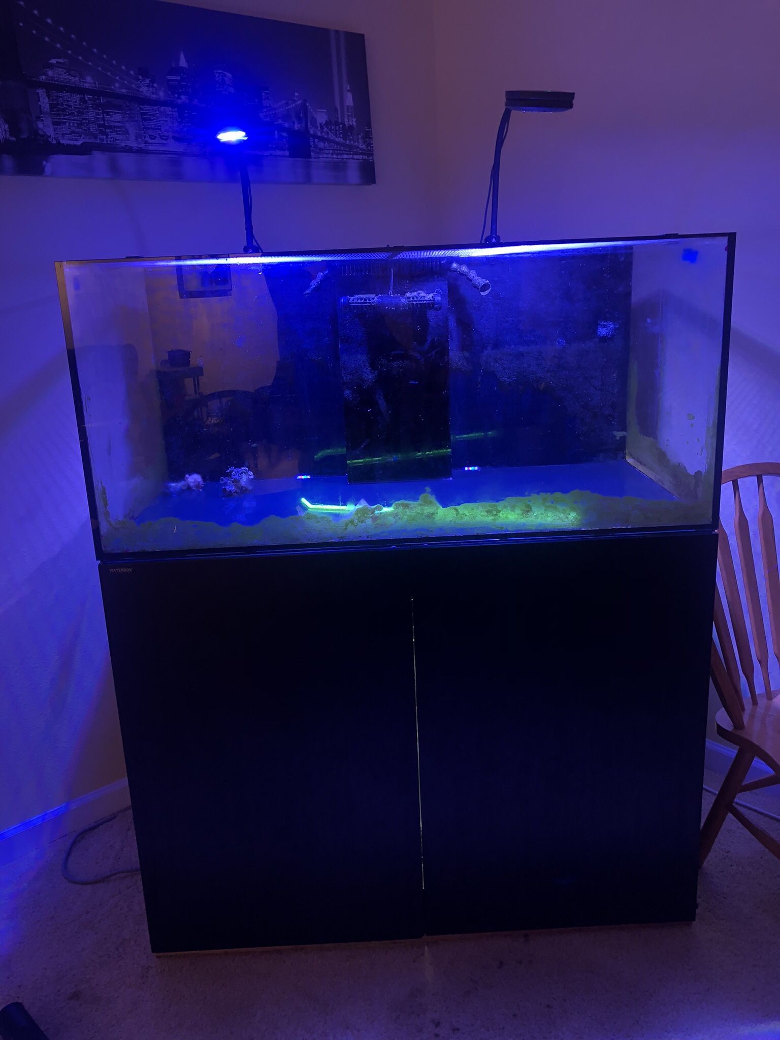 Waterbox 130 Aquarium Lot