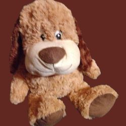 PetSmart 16 " Chance
