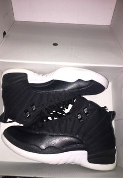 Air Jordan 12s