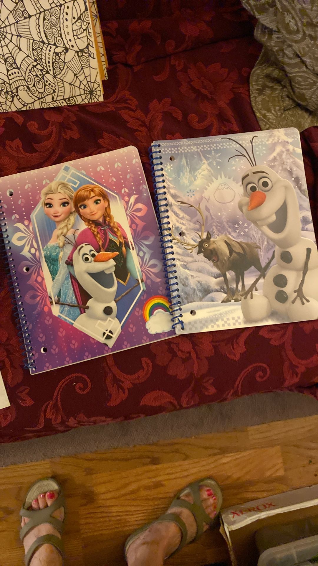 2 Frozen Spiral Notebooks