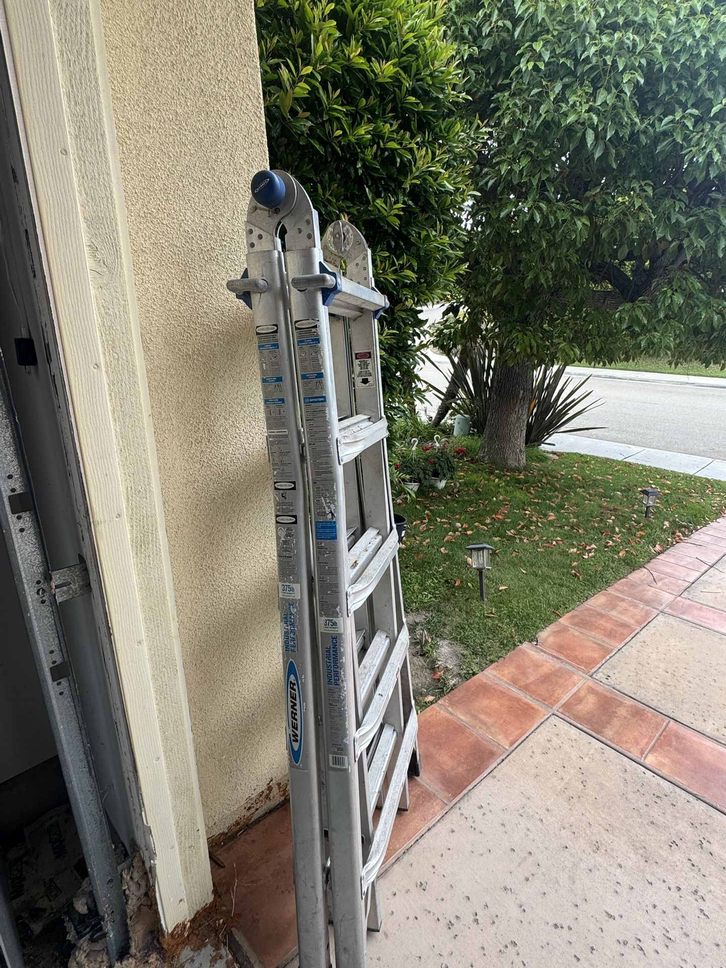 Werner Ladder -MT-22IAA