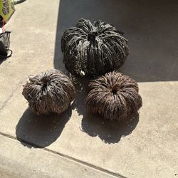 Halloween Pumpkins