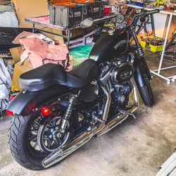 2015 Harley davidson 883Iron